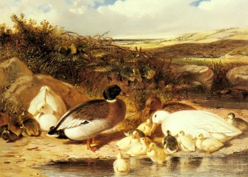  red Oil Painting - Mallard Ducks and Ducklings On A River Herring Snr John Frederick horse